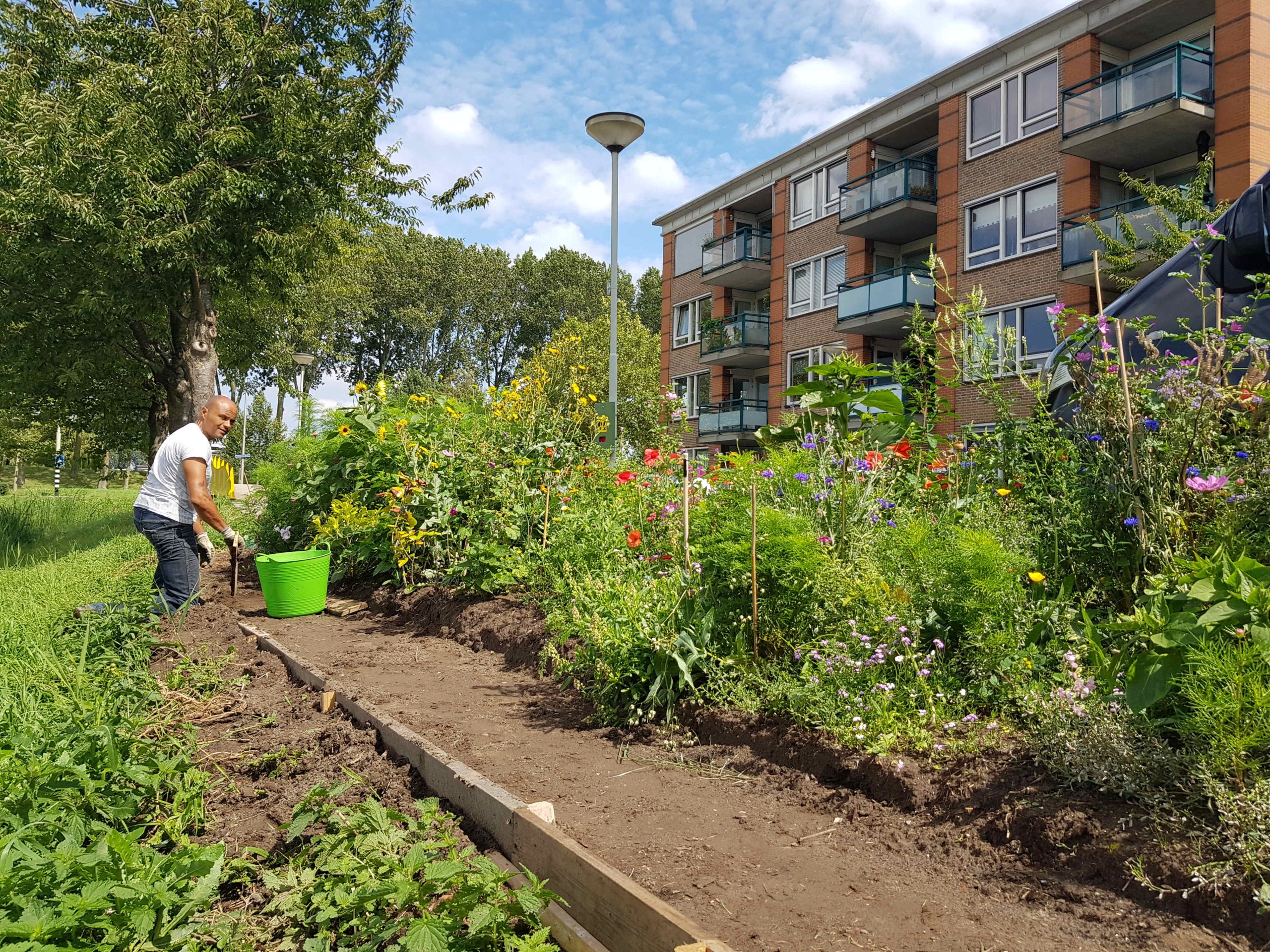 man aan het werk in openbaar plantsoen