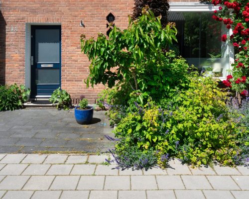 contrastvoortuinen-min contrastvoortuinen-min